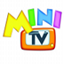 Mini TV Television TDT HD