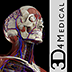 Essential Anatomy